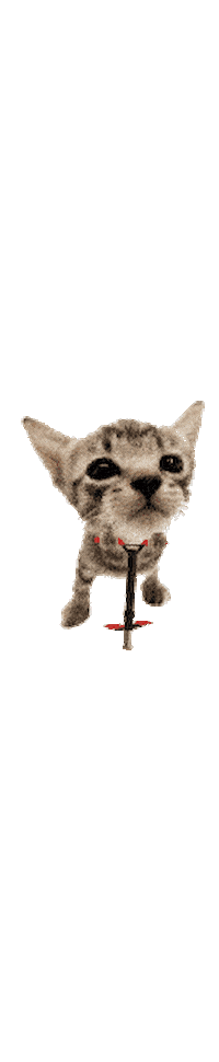 Jumping Cat Sticker