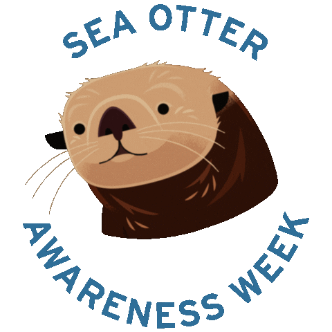 Sea Otter Ocean Sticker by Monterey Bay Aquarium