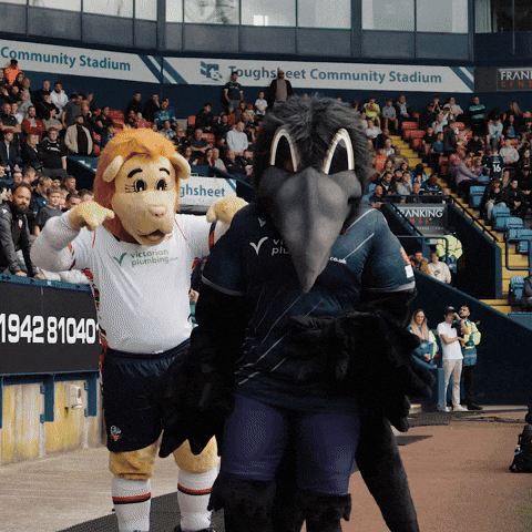 Baltimore Ravens GIF by Bolton Wanderers FC