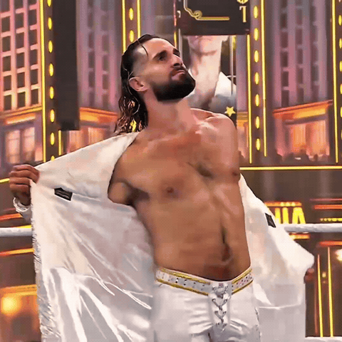 Seth Rollins Wwe GIF