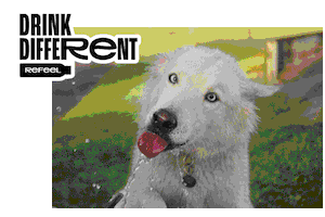 Dog Water Sticker by Refeel