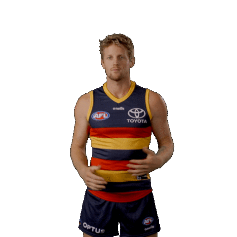 Celebration What Sticker by Adelaide Crows