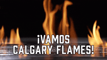 Calgary Flames Sport GIF by Sealed With A GIF