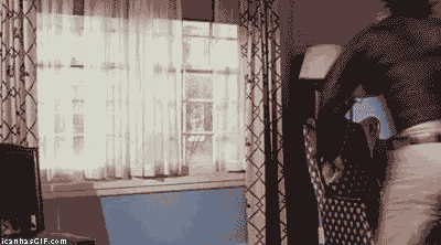 Window GIF - Find & Share on GIPHY