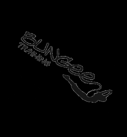 GIF by BUNGEE TRAINING ARGENTINA