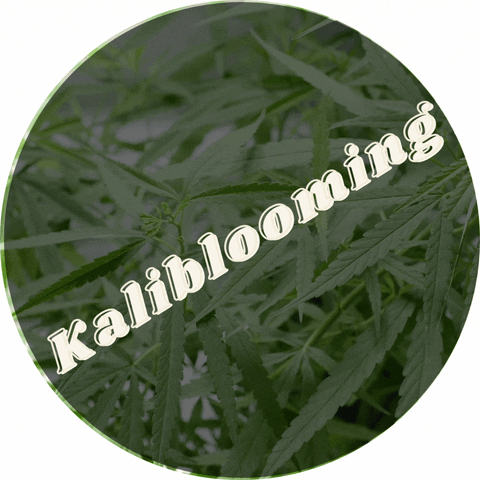 kalibloom GIF