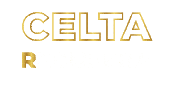 Celtagestao Sticker by Celta Plataforma Tributária