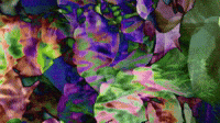 壁纸gif 在线和免费在gifburg