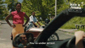 Under Arrest GIF by Death In Paradise