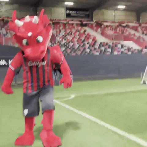 Ligue 2 Football GIF