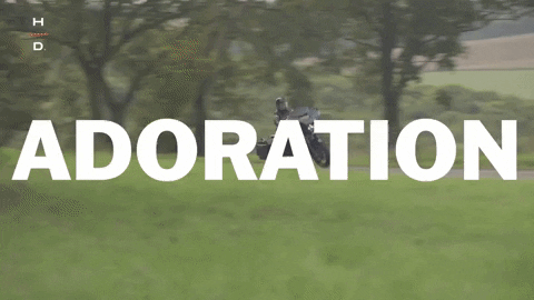 Performance Experience GIF by Harley-Davidson - Find & Share on GIPHY