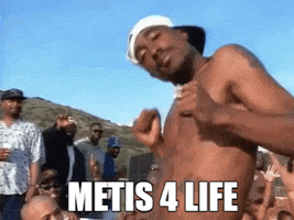 Metis GIF by MonkexNFT