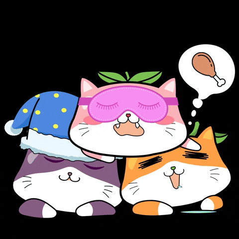 Night Sleep GIF by tazte