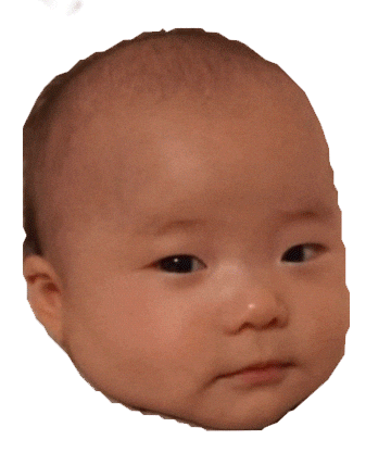 Peace Sports Sticker by PAUL Component Engineering