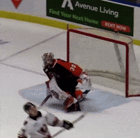 Whl GIF