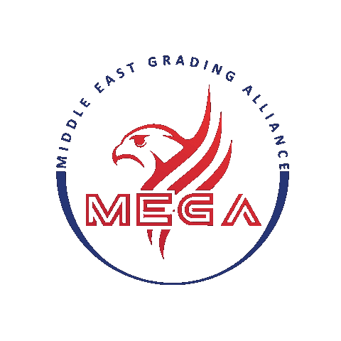 Megagrading Sticker by MEGA