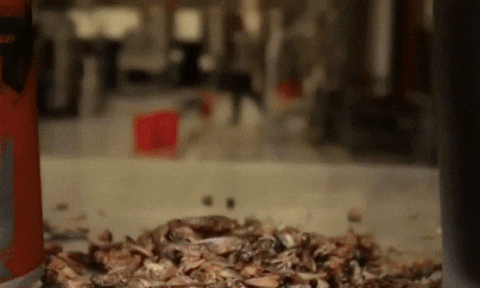 Animated GIF - Find & Share on GIPHY