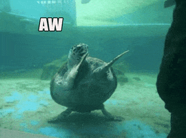 Awe Yeah GIFs - Find & Share on GIPHY
