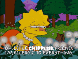 Mean Lisa Simpson GIF by ChipPunks
