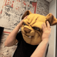 200.gif