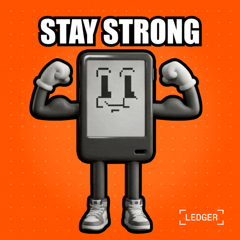 You Got This Crypto GIF by Ledger