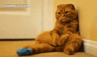 200w.gif?cid=3640f6095c0170e2526b43612eb