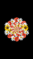 Eye Candy Flowers GIF