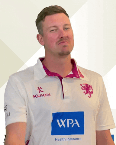 Ball Run Out GIF by Somerset County Cricket Club