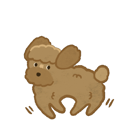 Poodle Wolsey Sticker