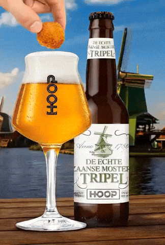 Zaanse Schans Bier GIF by Brouwerij Hoop