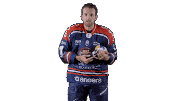 Ducs Dangers Hockey Sticker by Les Ducs d'Angers