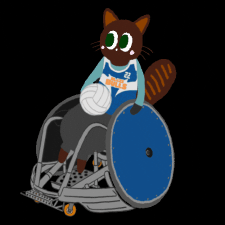 Cat Gift GIF