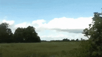 Driving Pop Music GIF by Nell Mescal