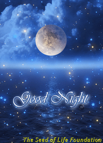 Good Night GIF by The SOL Foundation