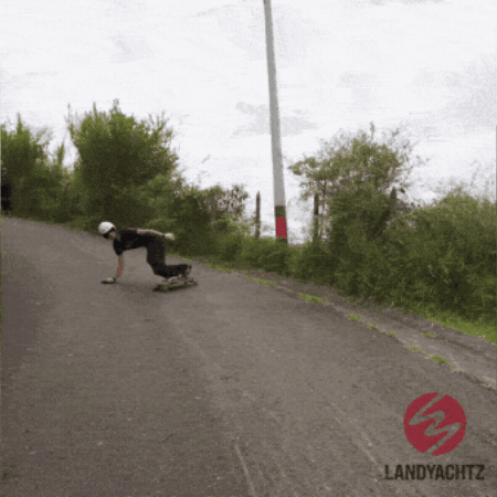 Evo Longboard GIF by Landyachtz
