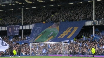 Everton Fc Utt GIF by Everton Football Club