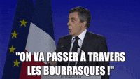 franceinfo-citation-francois-fillon-zXa2FB90sdE9q