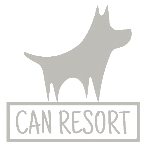 Thebullymansion Sticker by BullysTVShows