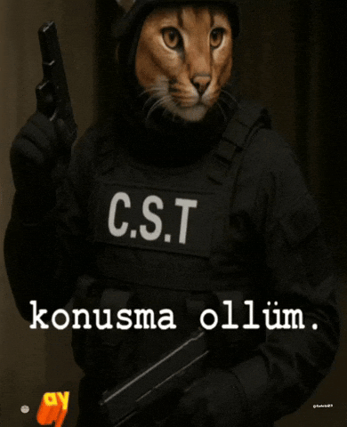 Cst Konusma GIF