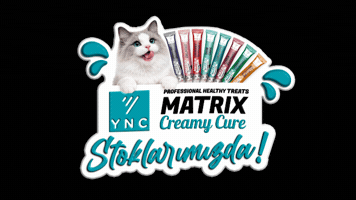 Cat Matrix GIF by Yeniçağ Veteriner Ecza