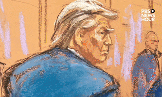 Donald Trump Sketch GIF by PBS NewsHour