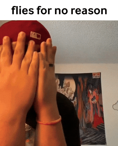 Flies For No Reason GIF