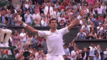 Sport Celebrate GIF by Wimbledon