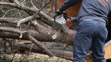 Chainsaw Bandit GIF by JC Property Professionals