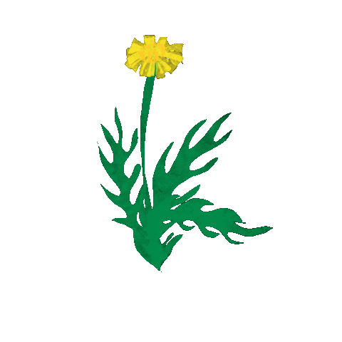 Flower Sticker