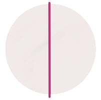 Pink Mirror Sticker