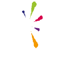 Festa Sticker by Popper