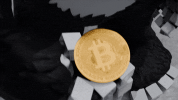 Serious Money GIF by Endangered Labs