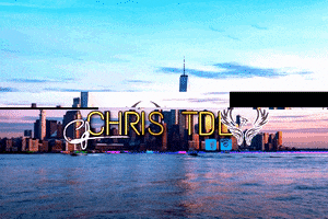 New York Love GIF by Chris TDL