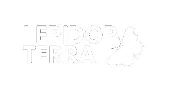 Butterflies Rewilding Sticker